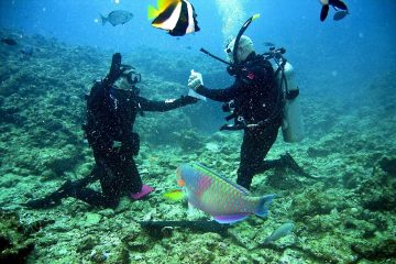 Scuba Diving in Tobago