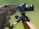 Beaver Buying Your First DSLR Camera