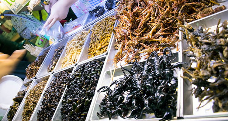 Fried and crunchy edible bugs in Thailand